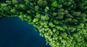 Der Weg zum naturnahmen Wald: Luftbild eines Waldes